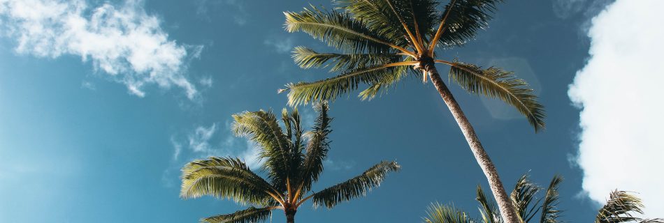 periode la moins chere pour aller a la reunion