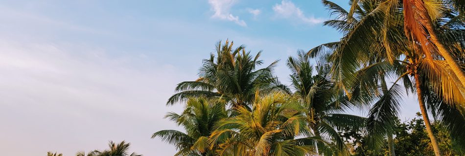 vacances a la reunion